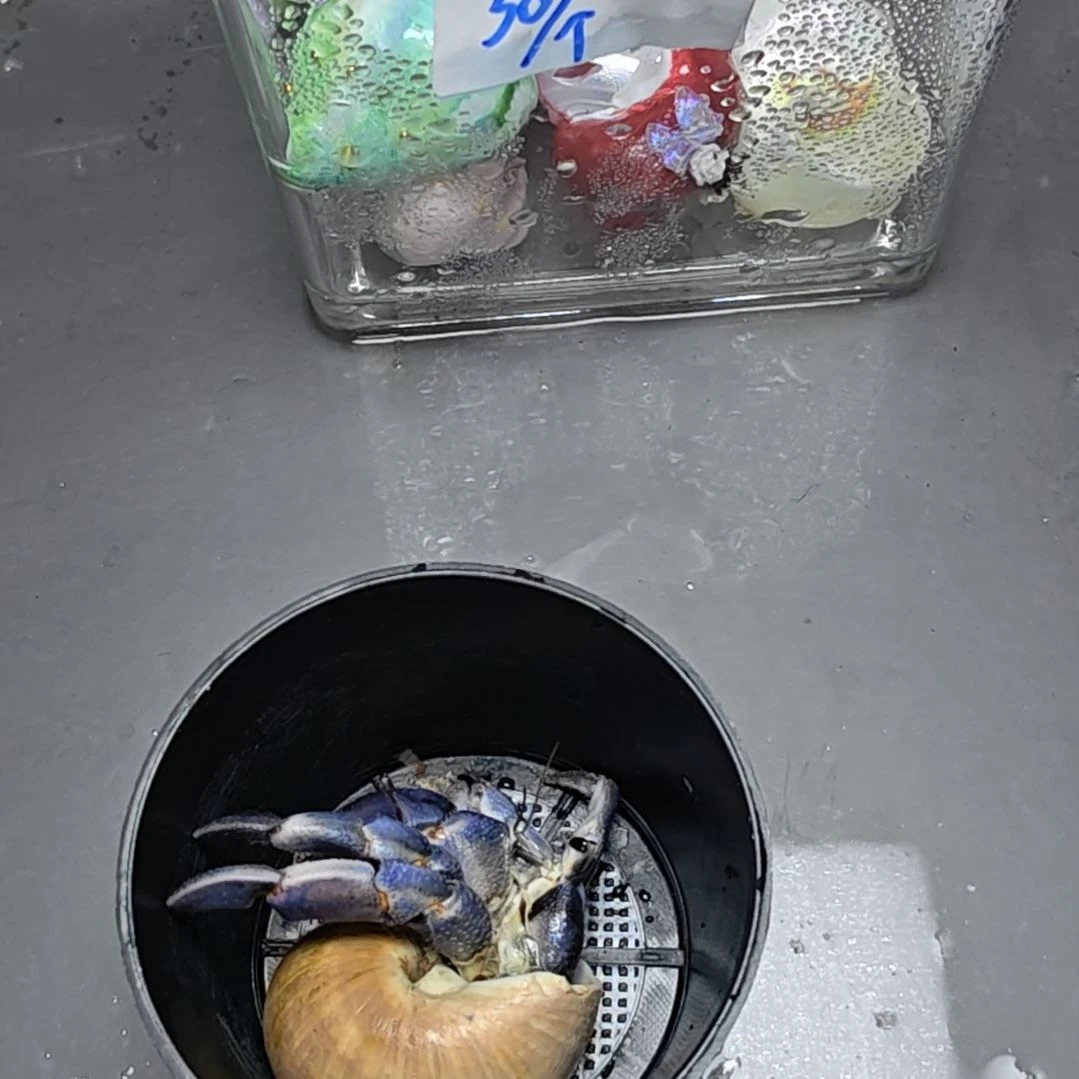 小卢哥专属子路拍