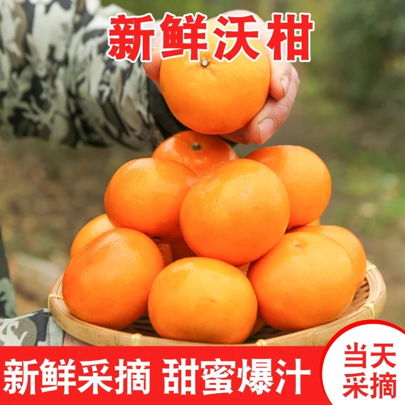 广西武鸣沃柑当季新鲜水果皮薄多汁香甜柑橘采摘花皮5/9斤整箱