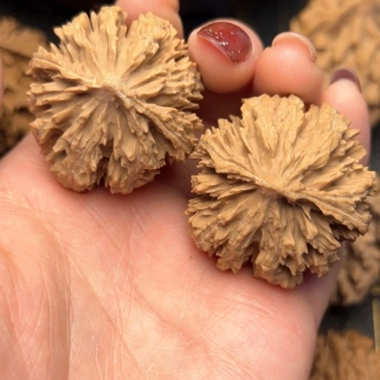 文玩核桃吊坠秦岭核桃3