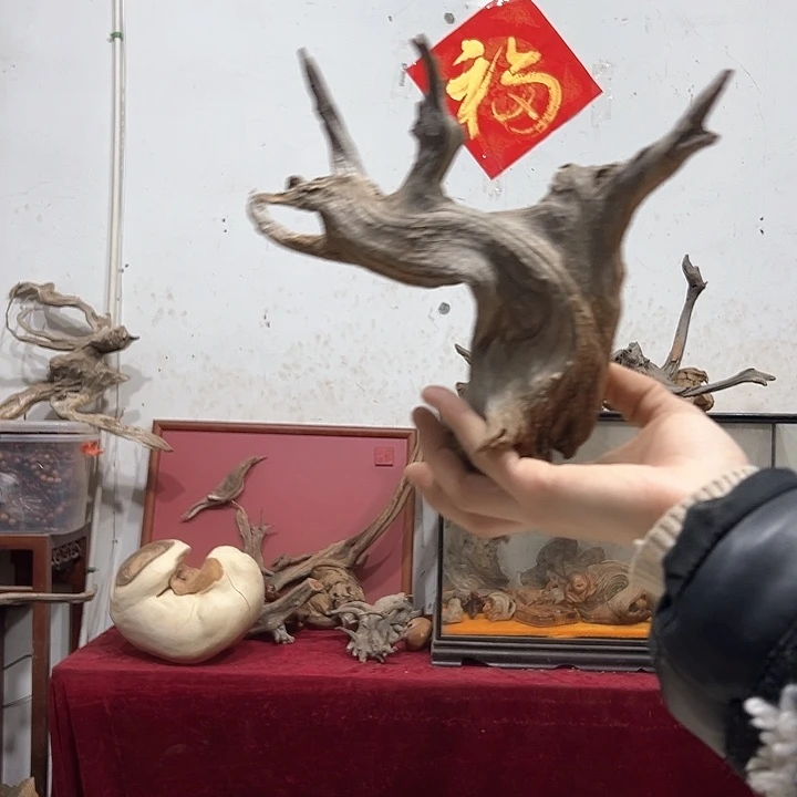 柏木我**良我们都是好孩子呀我