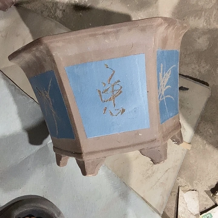 32花盆花盆花盆花盆花盆花