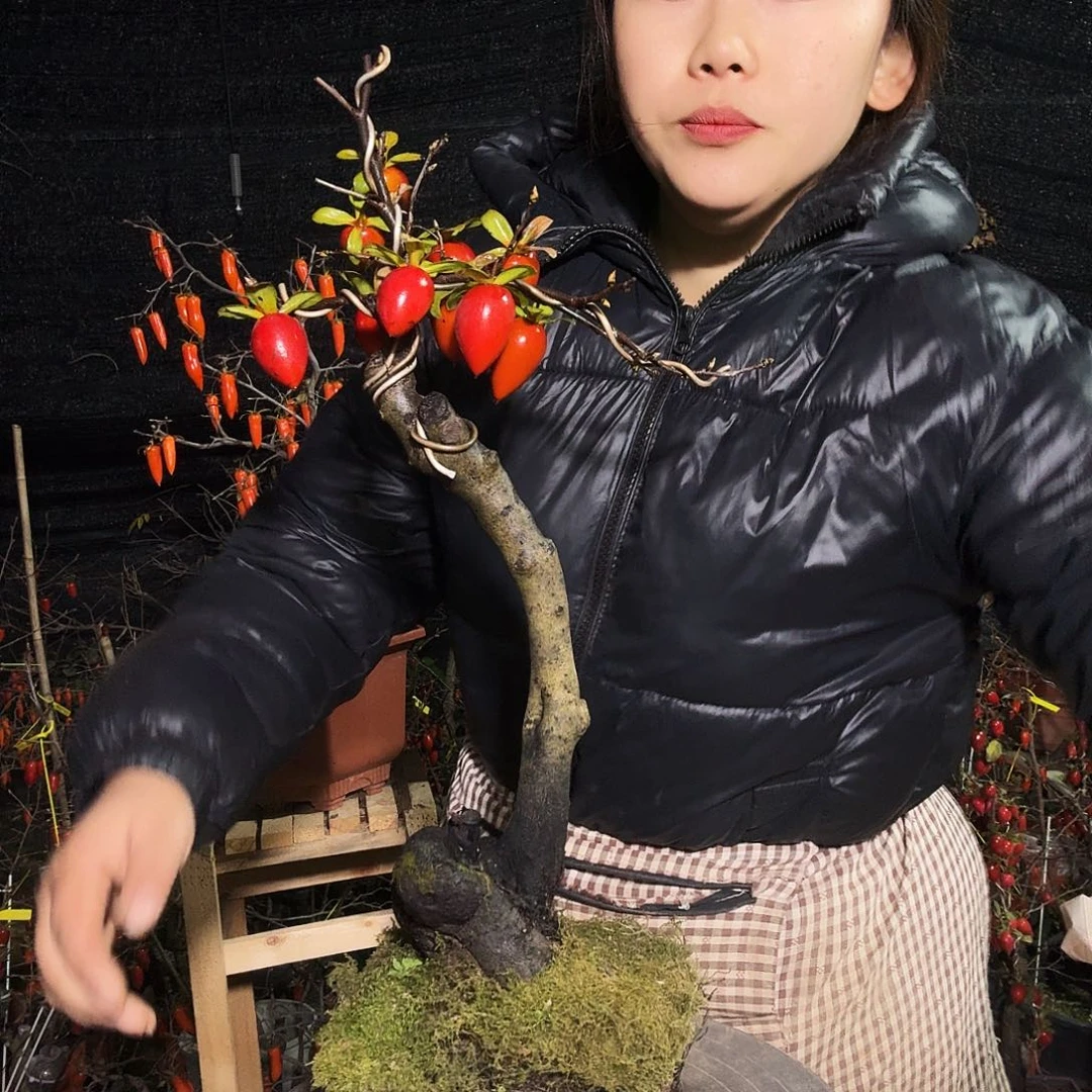 用***8完全开放老鸭柿子