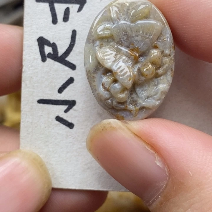 硅化珊瑚（珊瑚玉）未镶嵌颈饰