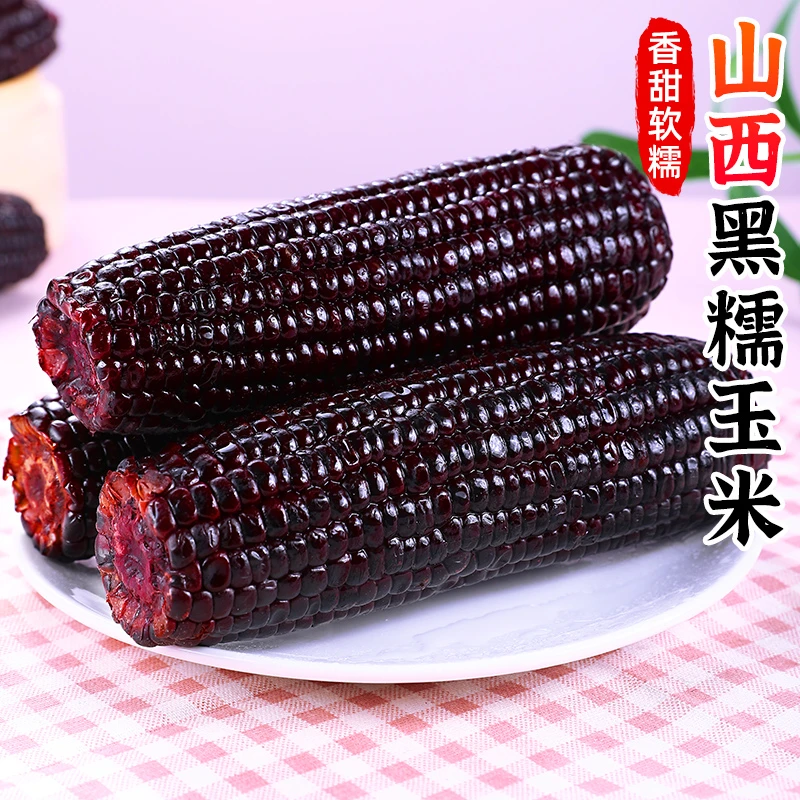 【软糯香甜】黑糯玉米8-10根真空黑玉米黏玉米即食玉米代餐苞米鲜嫩