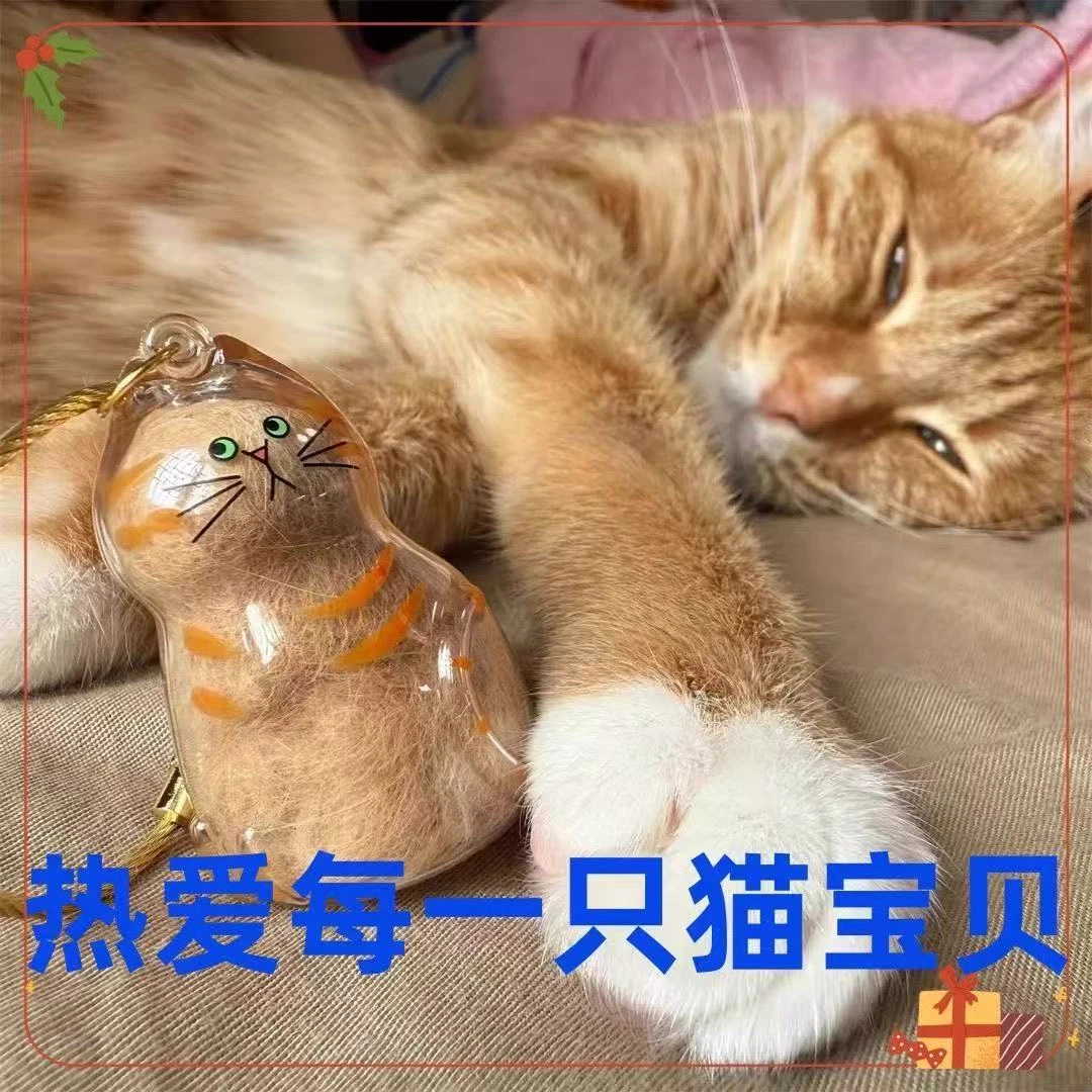 猫咪收纳扭蛋吊饰扭蛋包毛发存放胶囊钥匙扣挂件猫毛收纳盒