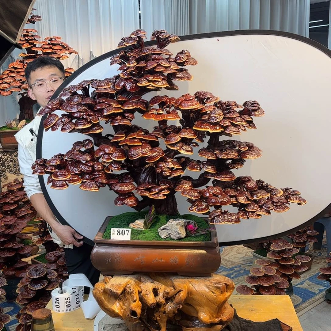 无花朵88888888888