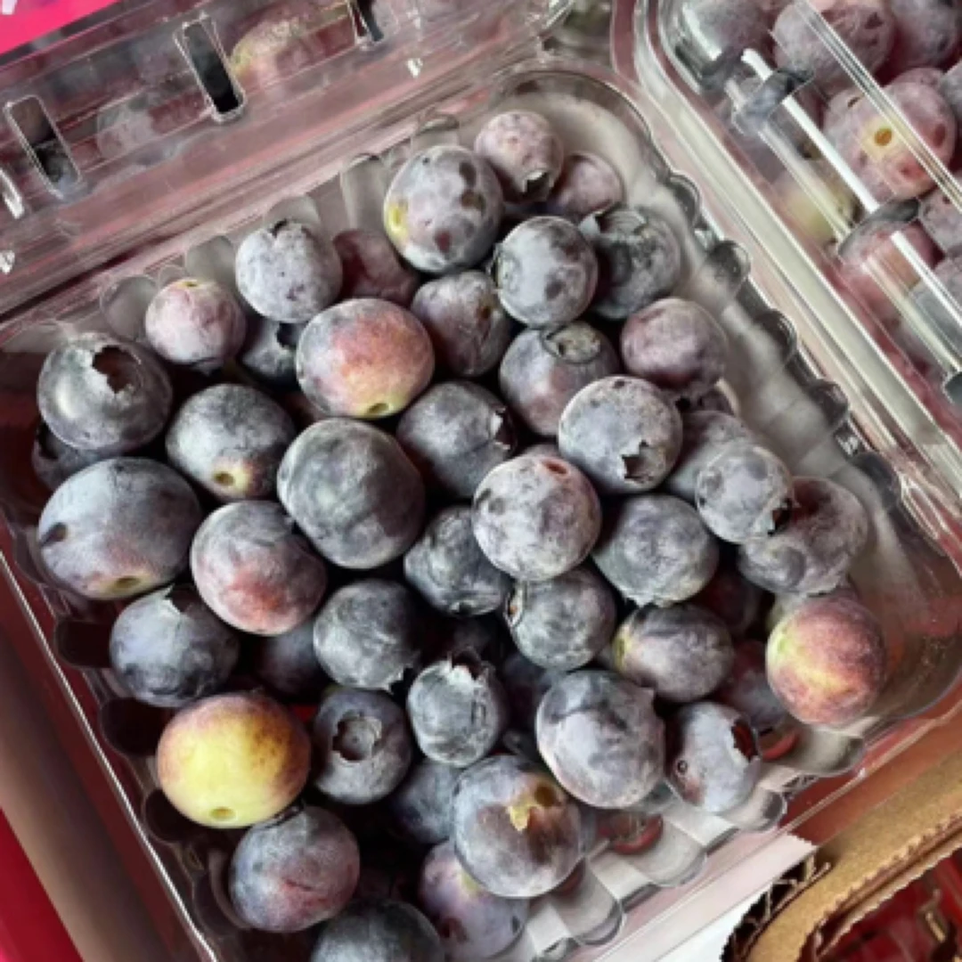 蓝莓3盒（脆甜）125g一盒14mm江苏省