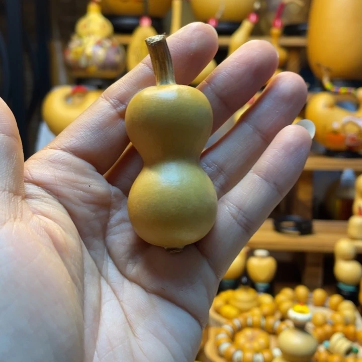 应***是天然葫芦果然生长