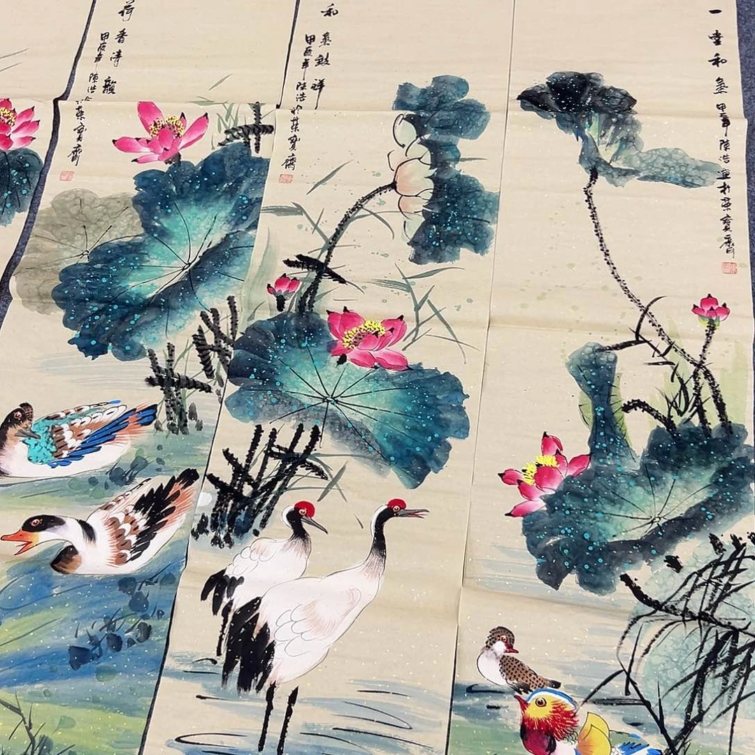 新号开播领福利了