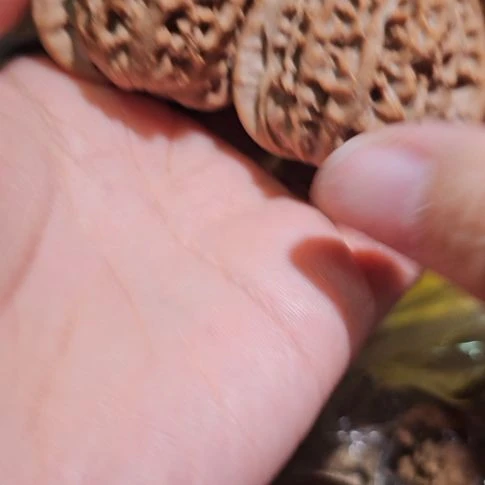 文玩核桃吊坠39血麒麟