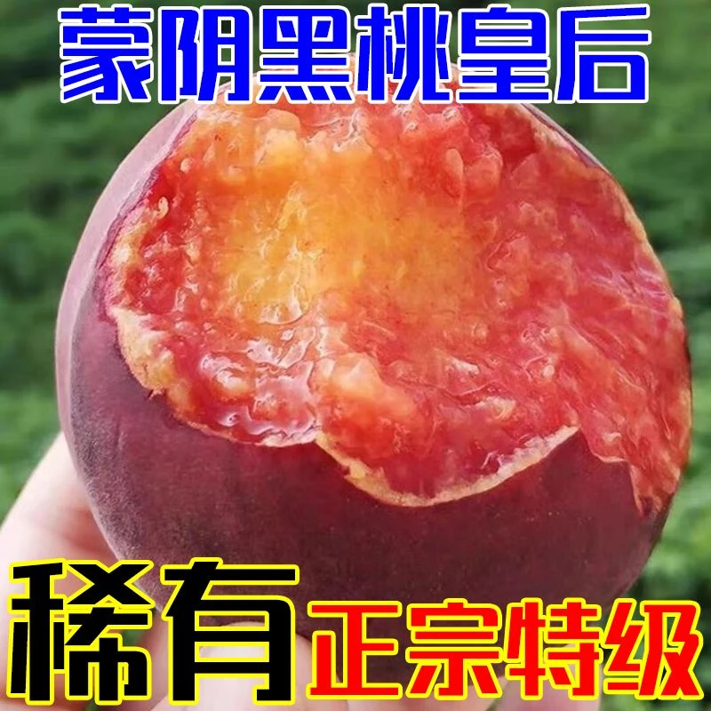 山东正宗蒙阴蜜桃黑桃皇后水蜜桃当季现摘现发新鲜水果毛桃非血桃