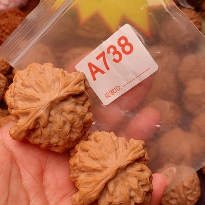 龙鼎50尺738号全品