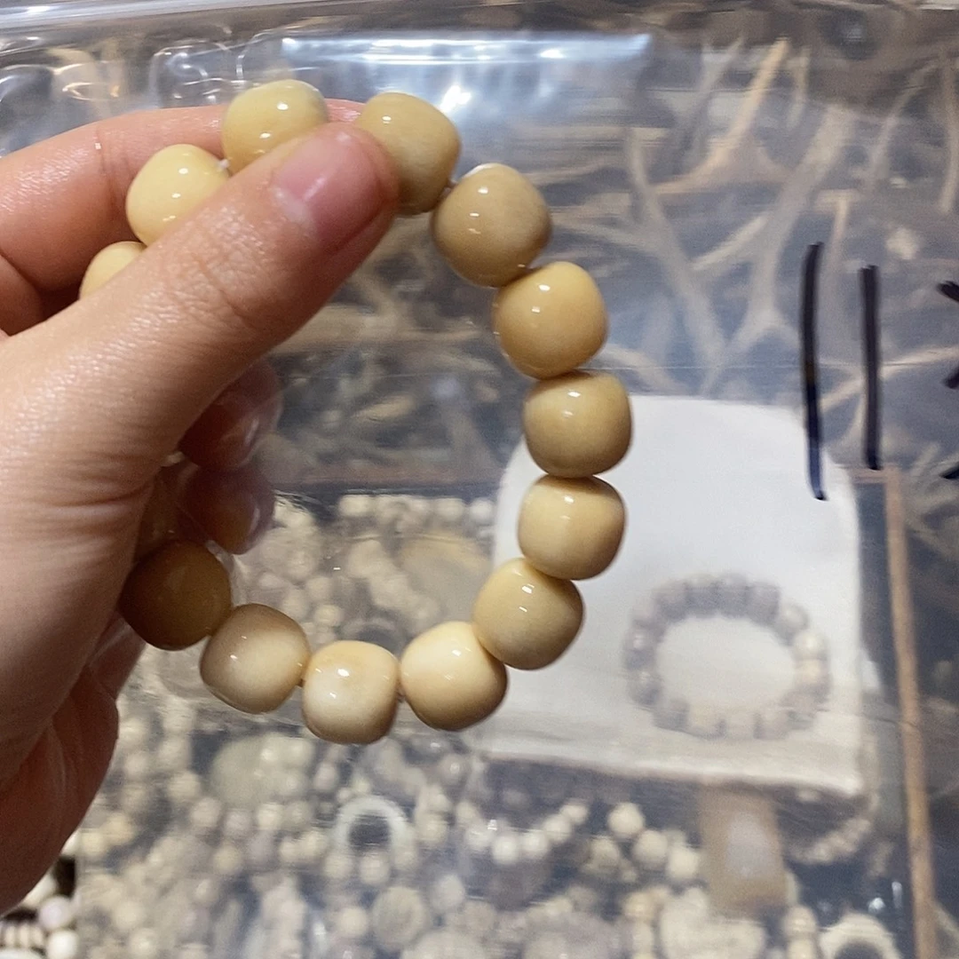 ****非金属鹿角鹿看鹿角