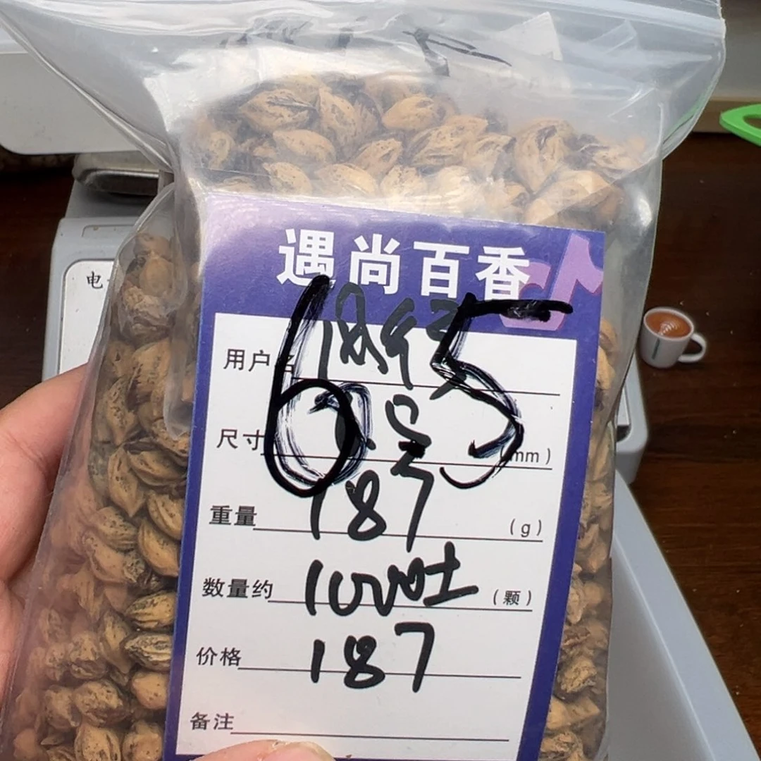 柏香籽/百香籽吊坠风**今