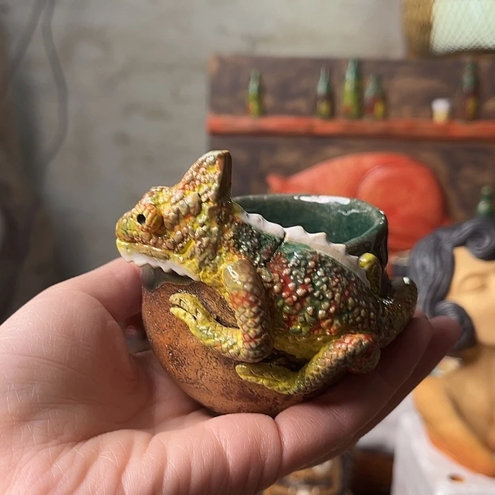 施***步蜥蜴杯12345658885988