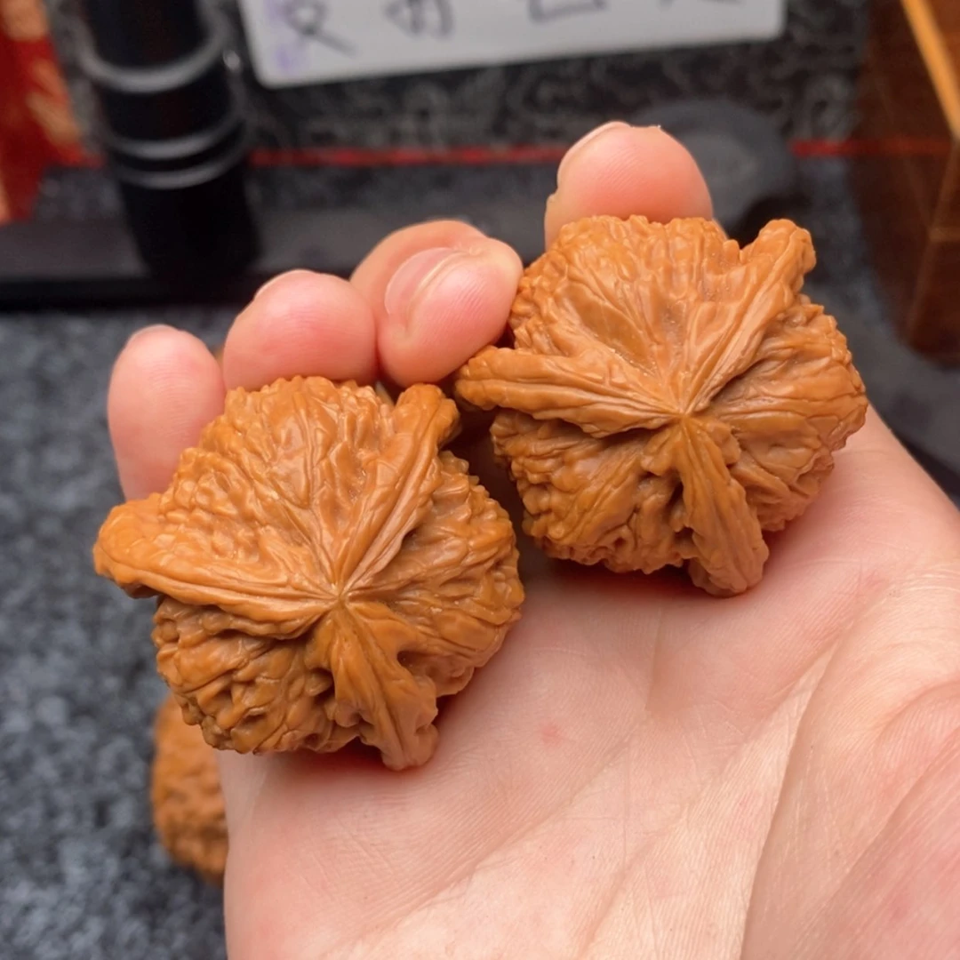 【闪购商品】Z***.白狮子