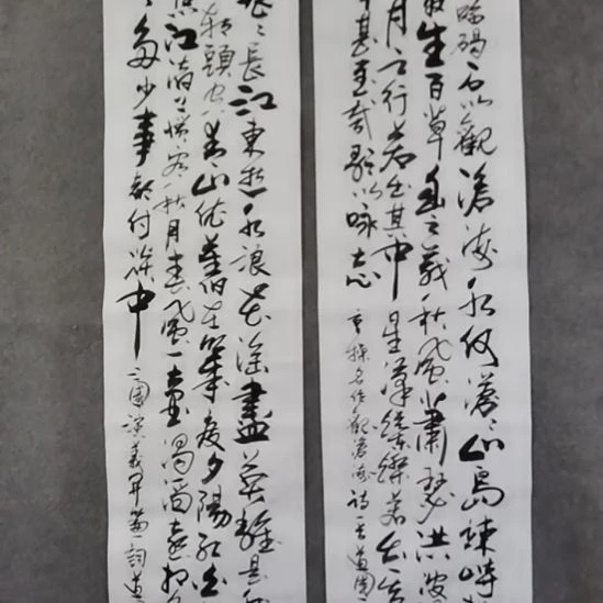 子***藤书法书书屋书法作品