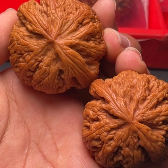 文玩核桃把件秦岭山脉核桃