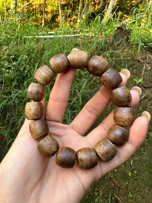 沉香海南尖峰岭老白棋15鼓珠单圈收藏级多样性发一