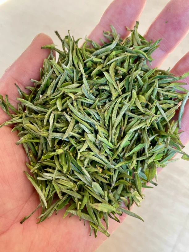 2025黄山毛峰头采嫩芽兰花香高山茶鲜爽回甘