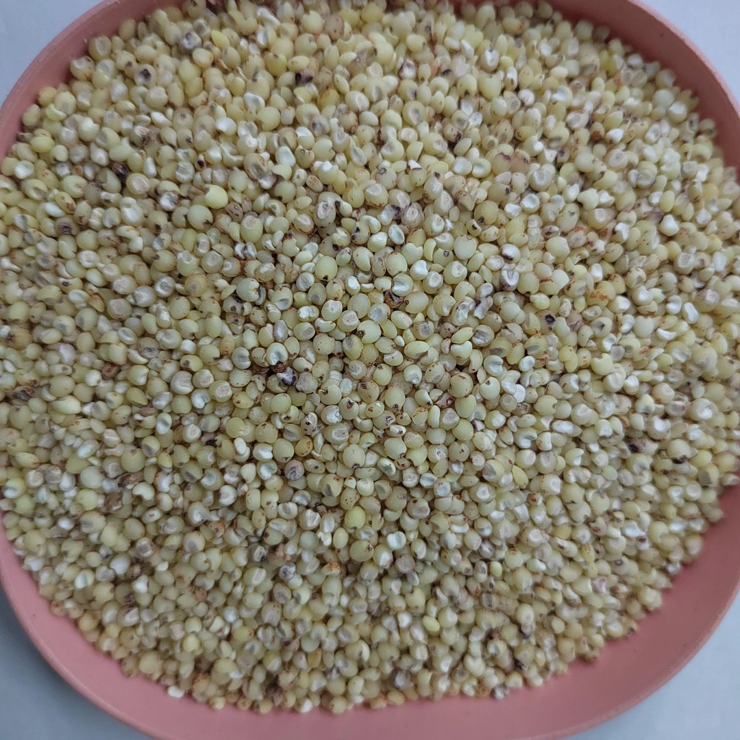 临沂市沂水县农家山地高粱米