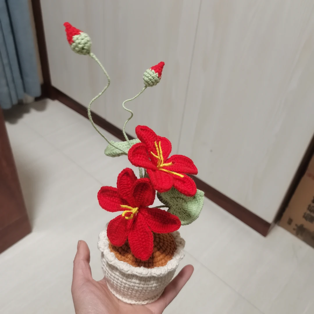 （成品）手工毛线编织盆栽花束节日礼物送老师同学朋友