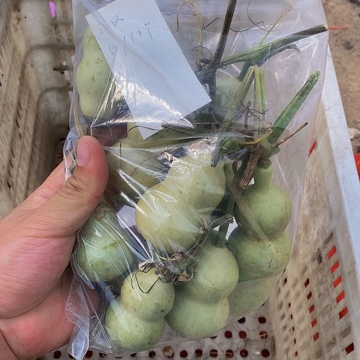 沐***8哈哈哈哈哈哈哈哈哈哈