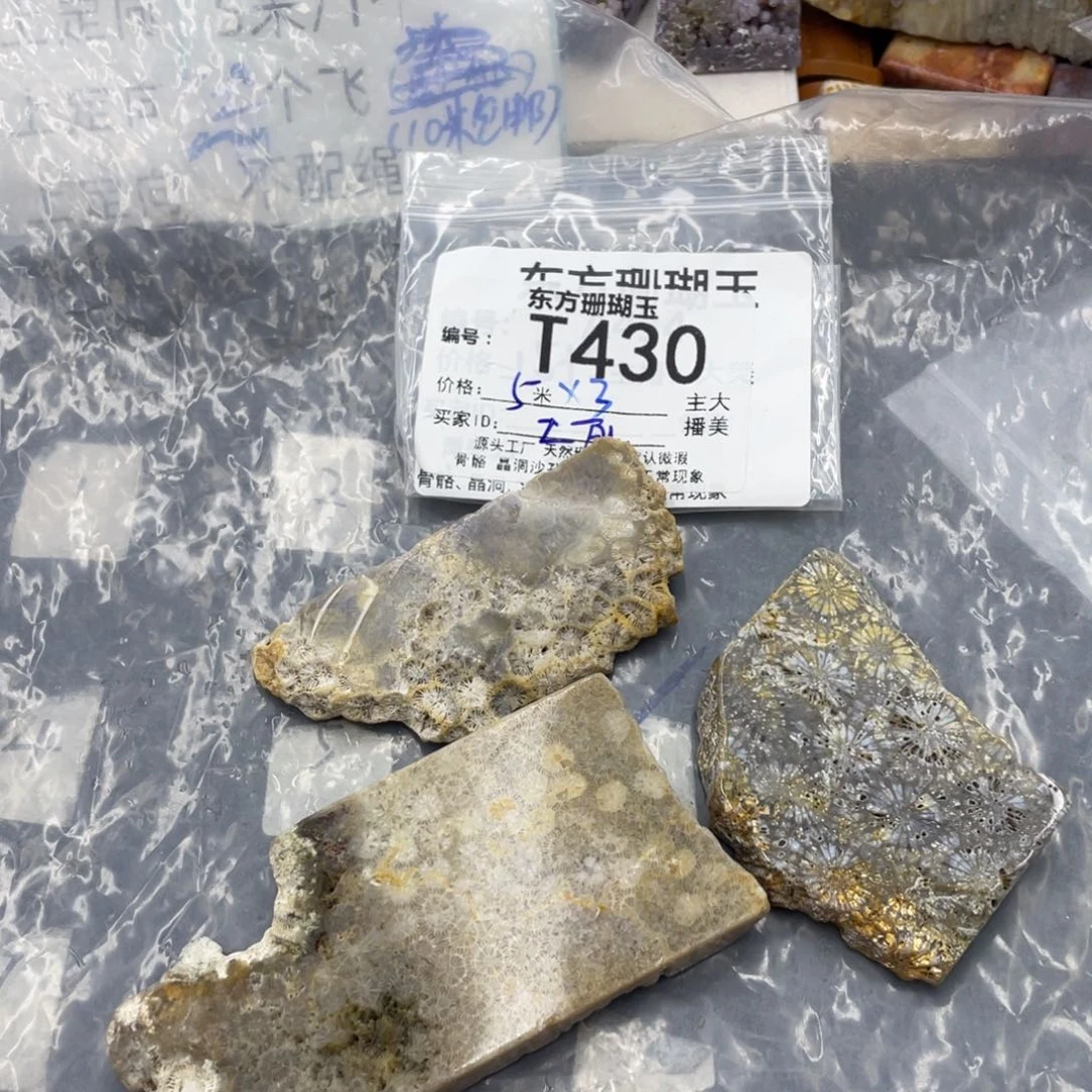 土****硅化珊瑚（珊瑚玉）合金颈饰