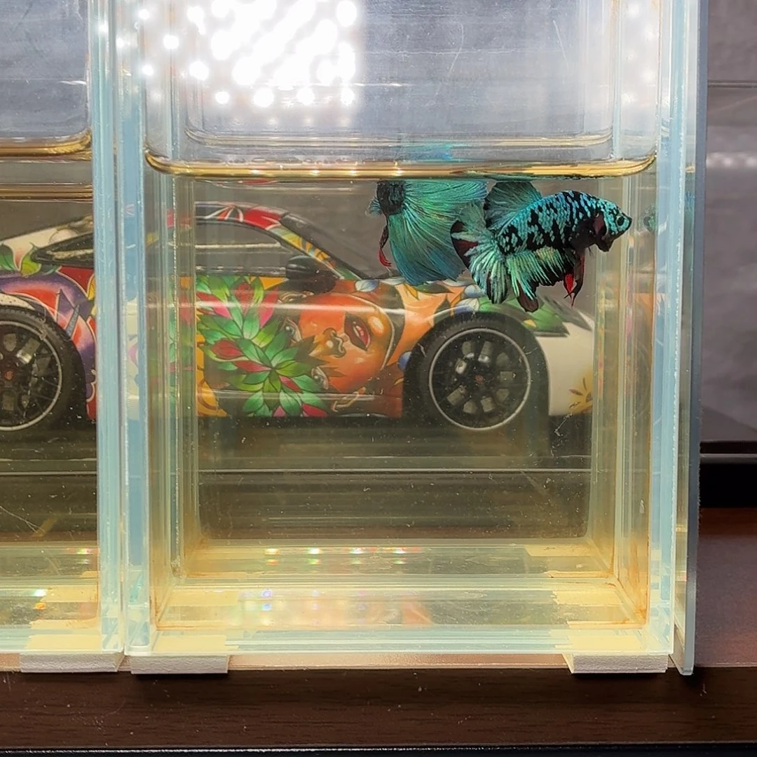 斗鱼暗黑将军公鱼