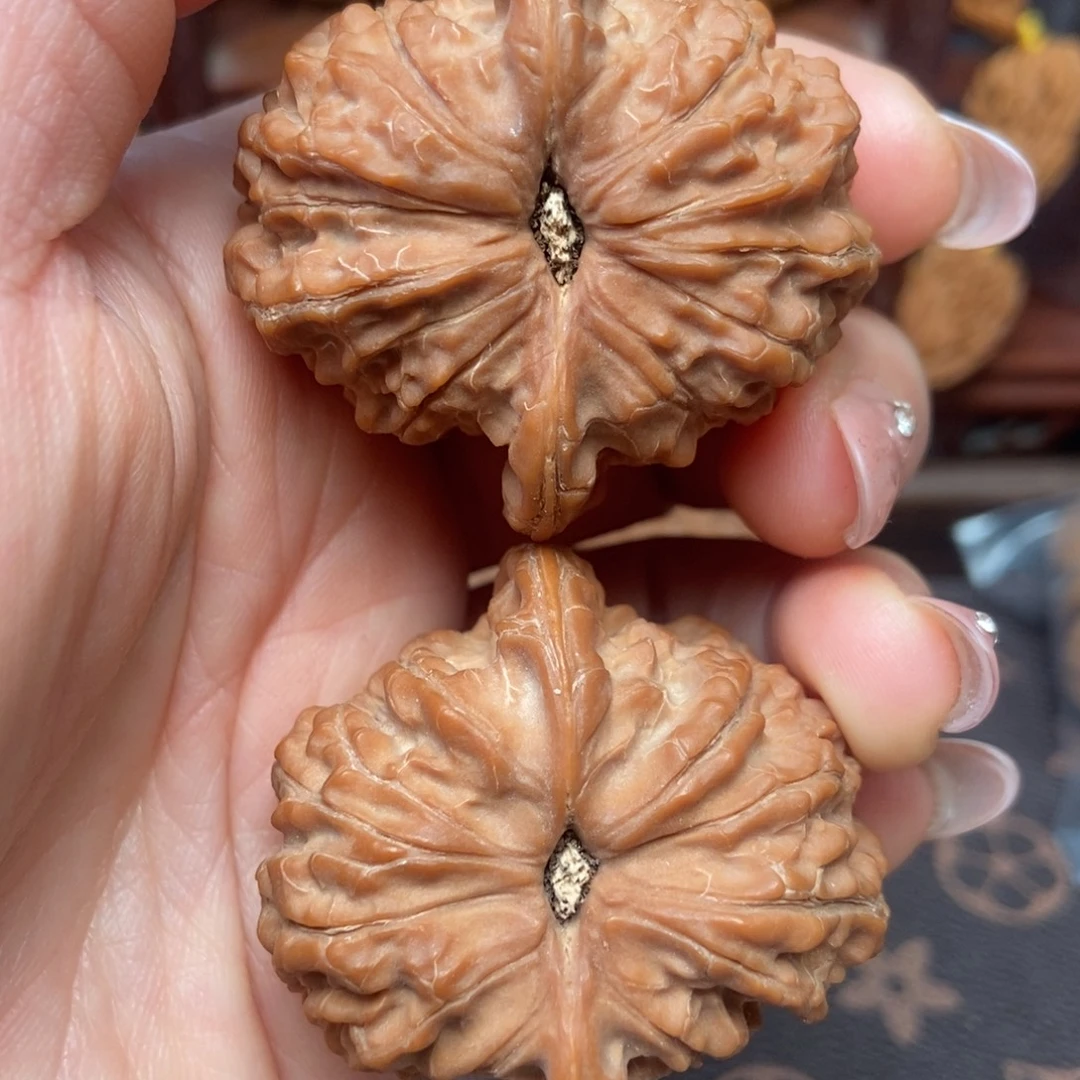 大叶紫檀（黑酸枝木类）血麒麟