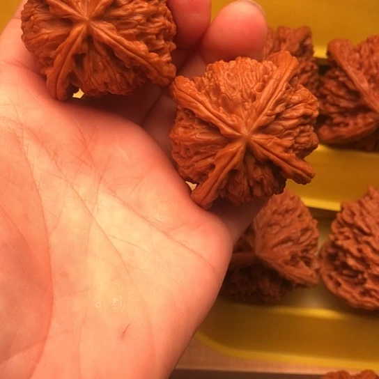 大***言核桃核桃核桃核桃核桃