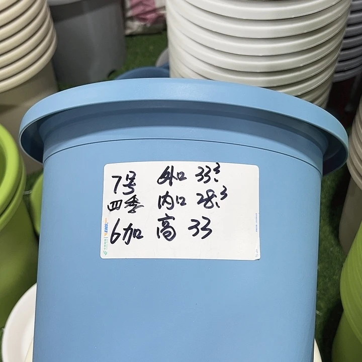 四季7号特价混色4个无托