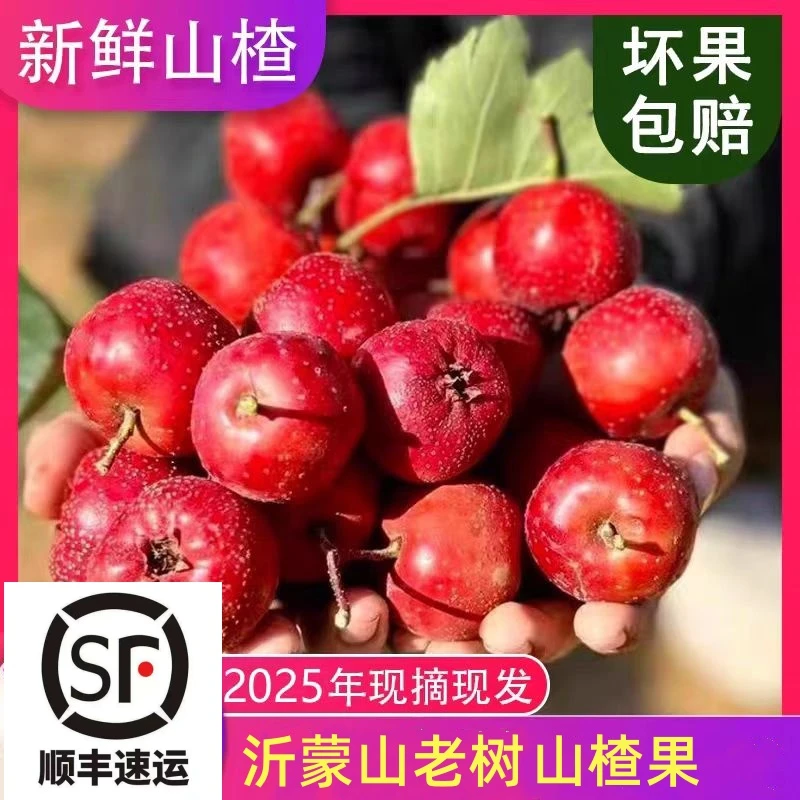黑石汪顺丰沂蒙山新鲜山楂果大金星山楂鲜果糖雪球糖葫芦农家直发
