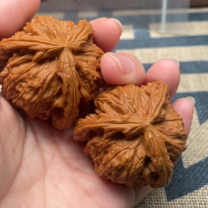 ～***味核桃白狮子44核桃