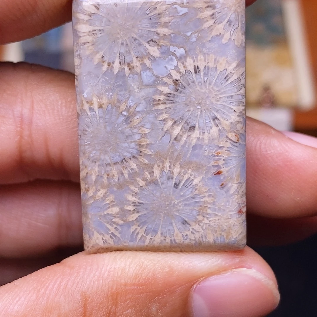 小***画合金珊瑚玉硅化玉