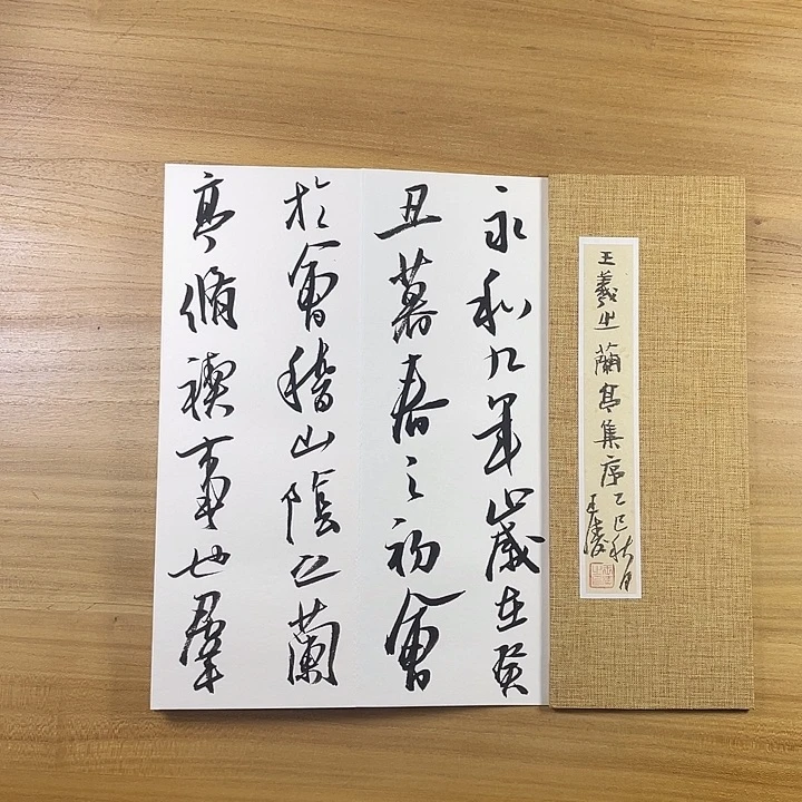 书法中书协会员作品