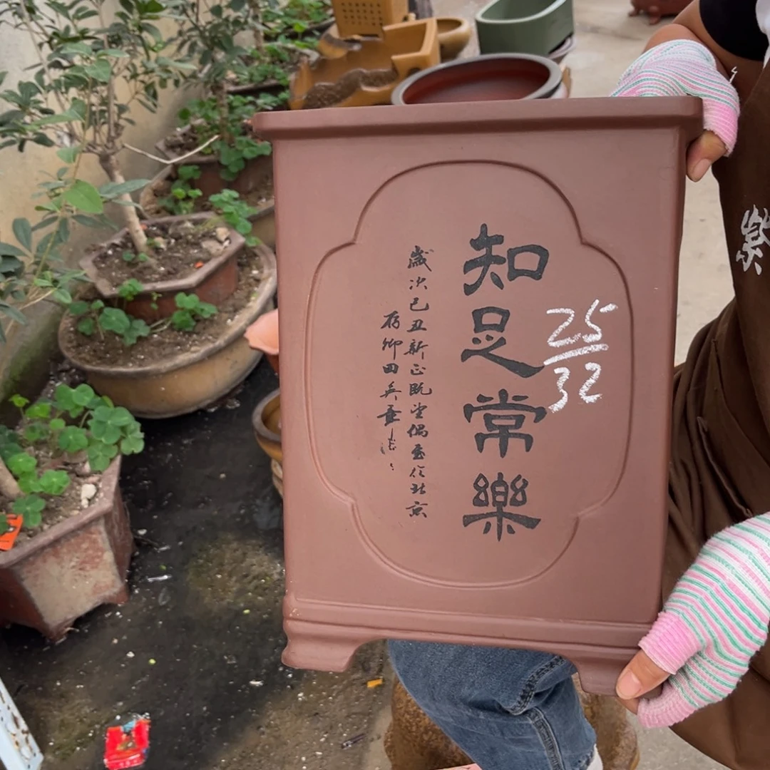 紫砂花盆盆景艺术