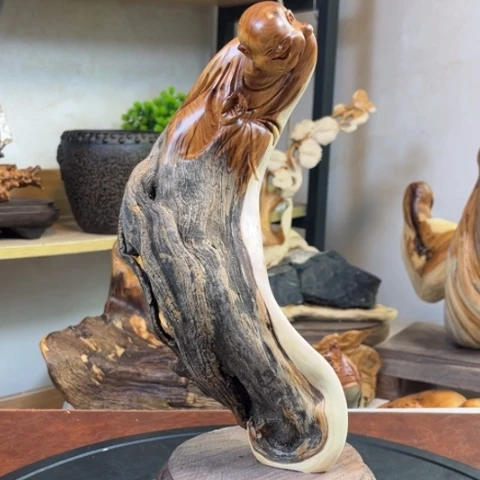 柏木（崖柏）v b g j b b n n