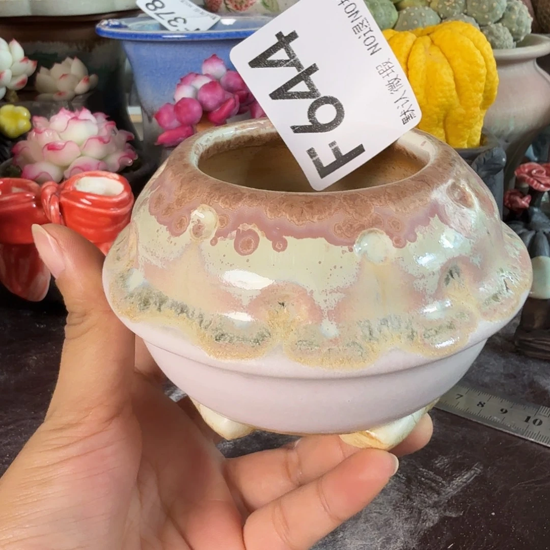 重庆小燕子欢迎大家644