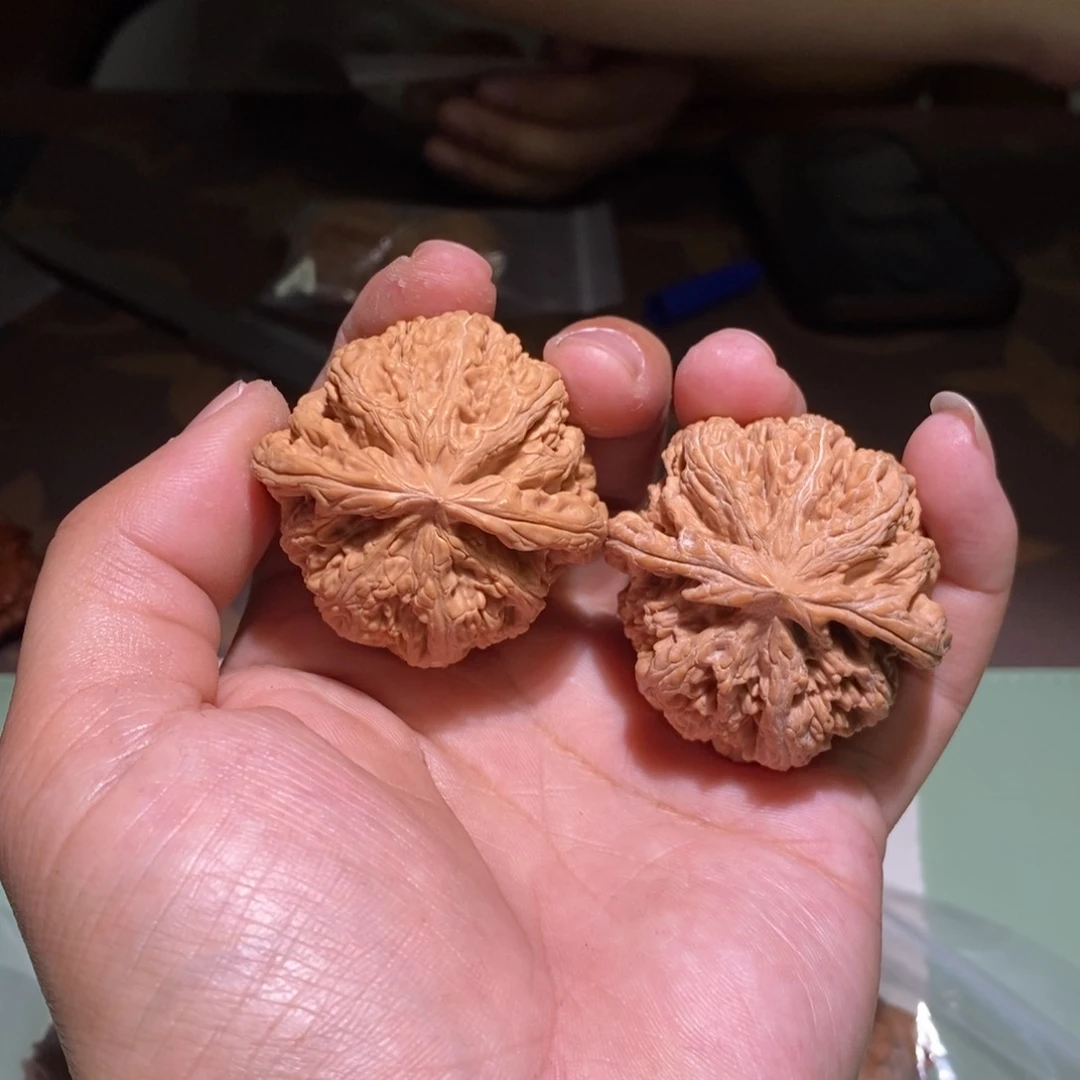 文玩核桃吊坠44尺全品粗筋