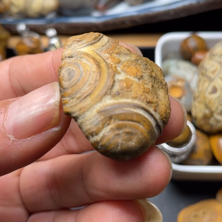 石材纯天然原石奇石233