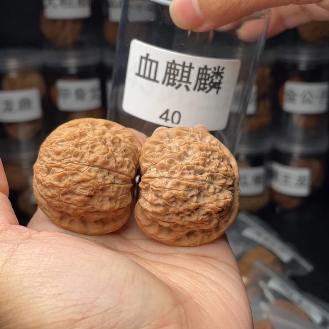 文玩核桃把件十****阳全品40血麒麟