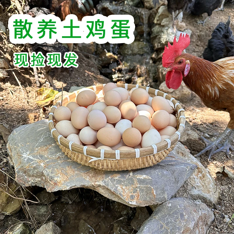 【大凡阿香】土鸡蛋沂蒙山原生态高山散养草鸡蛋柴鸡蛋京东到家