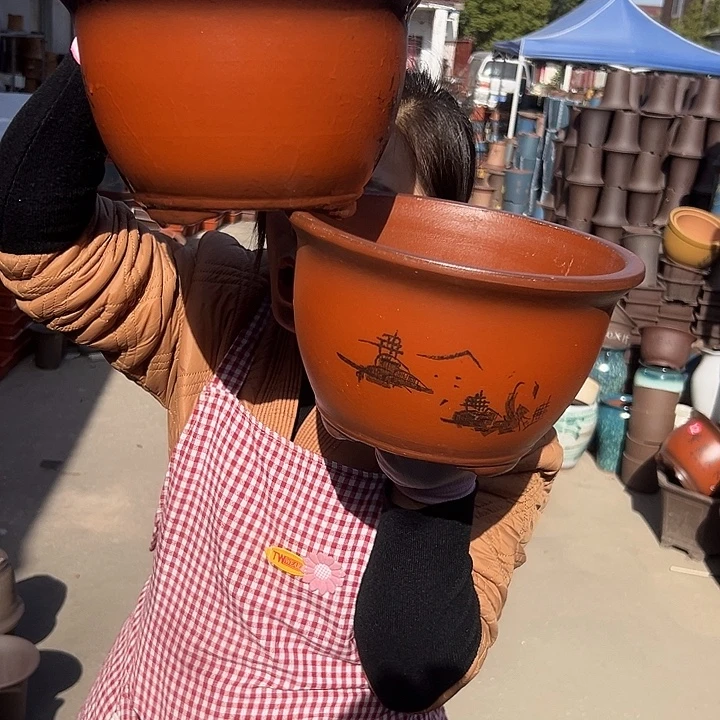 21+21紫气东来花盆花盆花盆