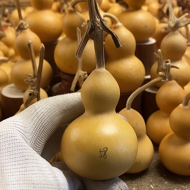 文玩葫芦 完美主义者 慎拍58