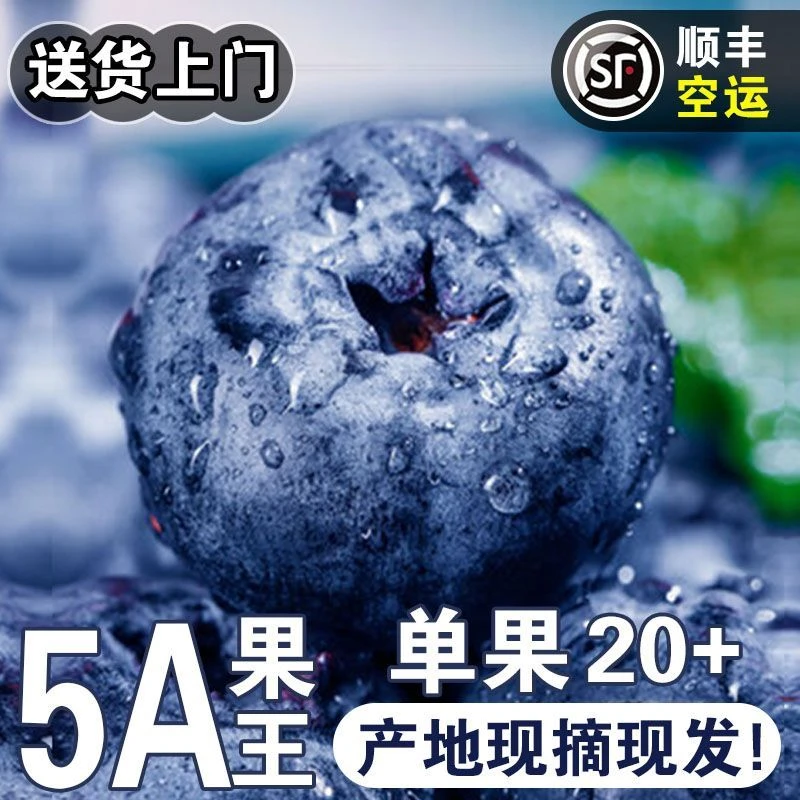 【顺丰空运】云南L25花香蓝莓采摘高原花香蓝莓大果孕妇当季新鲜水