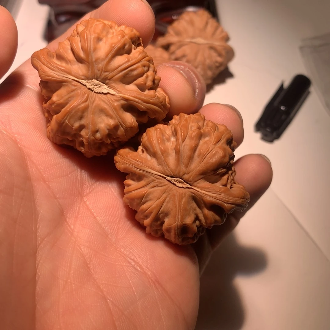 把件文玩核桃神*人白狮子