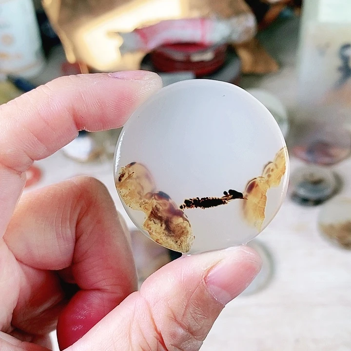 玛瑙/玉髓颈饰合金言*