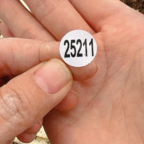 【闪购商品】25211