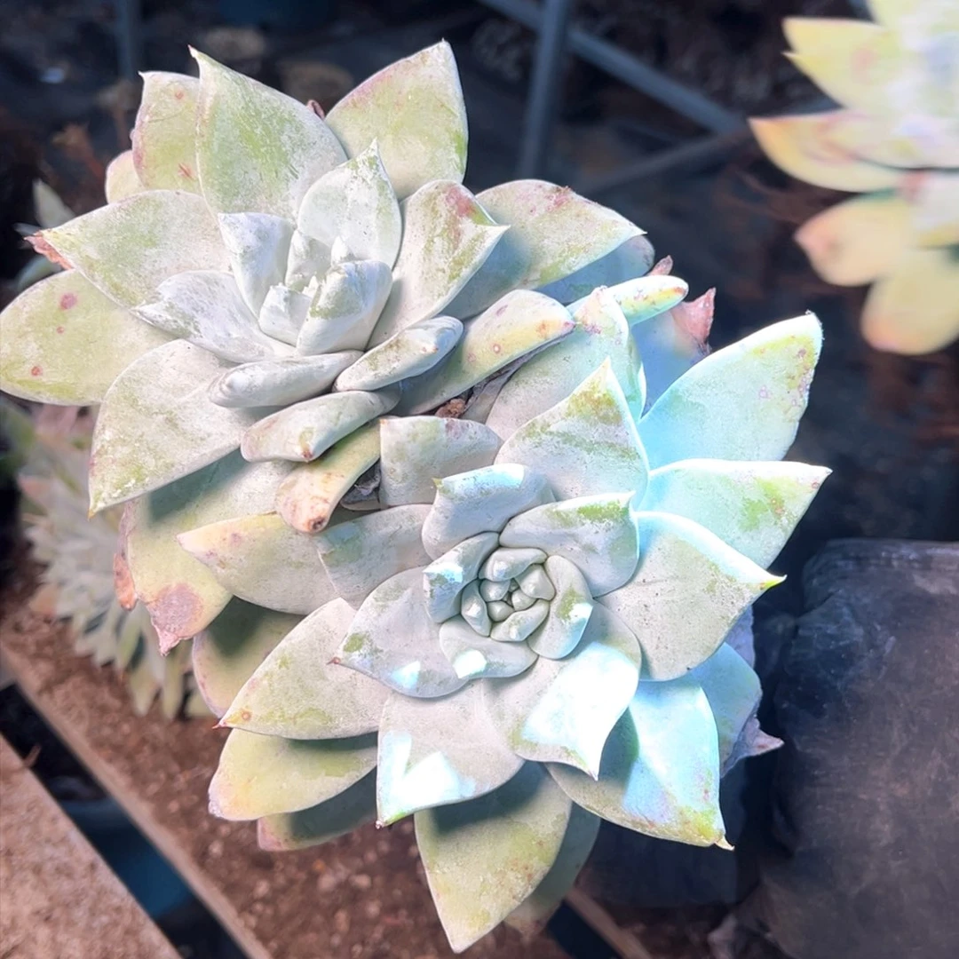 7565哈哈哈哈哈哈哈哈哈